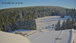 Směďava, Černý vrch