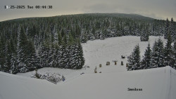 Směďava, Černý vrch