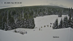 Směďava, Černý vrch