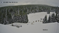 Směďava, Černý vrch