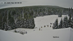 Směďava, Černý vrch