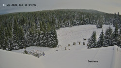 Směďava, Černý vrch