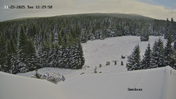 Směďava, Černý vrch