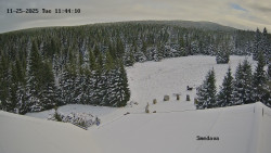 Směďava, Černý vrch