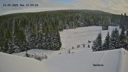 Směďava, Černý vrch