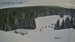 Směďava, Černý vrch