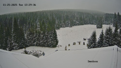 Směďava, Černý vrch