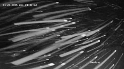 Směďava, Černý vrch