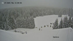 Směďava, Černý vrch