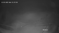 Směďava, Černý vrch