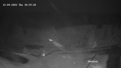 Směďava, Černý vrch