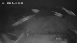 Směďava, Černý vrch