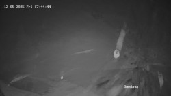 Směďava, Černý vrch