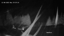 Směďava, Černý vrch