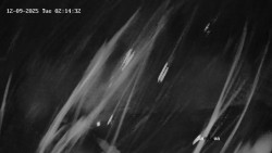 Směďava, Černý vrch