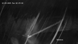 Směďava, Černý vrch