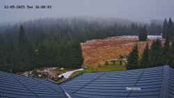 Směďava, Černý vrch