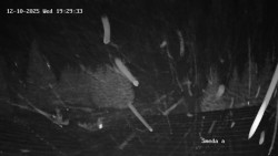 Směďava, Černý vrch