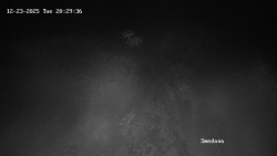 Směďava, Černý vrch