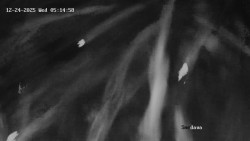 Směďava, Černý vrch