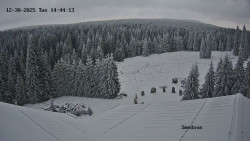 Směďava, Černý vrch