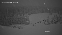 Směďava, Černý vrch