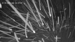 Směďava, Černý vrch