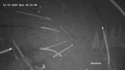 Směďava, Černý vrch