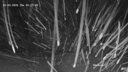 Směďava, Černý vrch