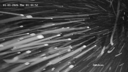 Směďava, Černý vrch