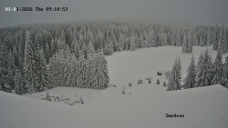 Směďava, Černý vrch