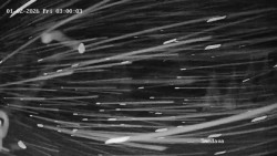 Směďava, Černý vrch