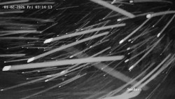 Směďava, Černý vrch