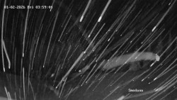 Směďava, Černý vrch