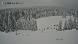 Směďava, Černý vrch