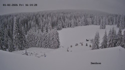 Směďava, Černý vrch