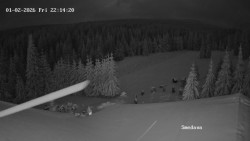 Směďava, Černý vrch