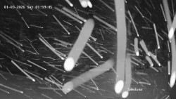 Směďava, Černý vrch