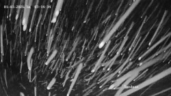 Směďava, Černý vrch