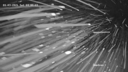 Směďava, Černý vrch