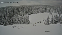 Směďava, Černý vrch