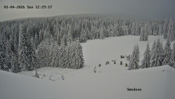 Směďava, Černý vrch