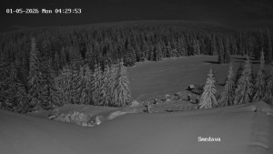 Směďava - Směďava, Černý vrch - 5.1.2026 v 04:30 Směďava - Směďava, Černý vrch - 5.1.2026 v 04:30