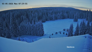 Směďava - Směďava, Černý vrch - 5.1.2026 v 07:30 Směďava - Směďava, Černý vrch - 5.1.2026 v 07:30