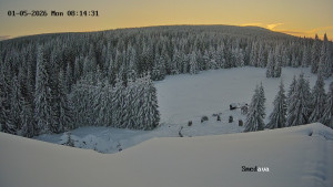 Směďava - Směďava, Černý vrch - 5.1.2026 v 08:15 Směďava - Směďava, Černý vrch - 5.1.2026 v 08:15