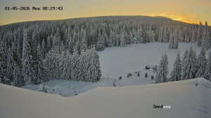 Směďava - Směďava, Černý vrch - 5.1.2026 v 08:30 Směďava - Směďava, Černý vrch - 5.1.2026 v 08:30