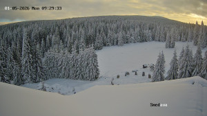 Směďava - Směďava, Černý vrch - 5.1.2026 v 09:30 Směďava - Směďava, Černý vrch - 5.1.2026 v 09:30
