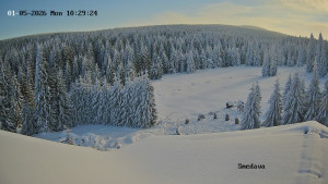 Směďava - Směďava, Černý vrch - 5.1.2026 v 10:30 Směďava - Směďava, Černý vrch - 5.1.2026 v 10:30