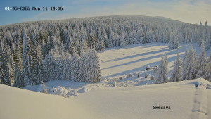 Směďava - Směďava, Černý vrch - 5.1.2026 v 11:15 Směďava - Směďava, Černý vrch - 5.1.2026 v 11:15