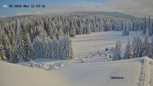 Směďava - Směďava, Černý vrch - 5.1.2026 v 13:00 Směďava - Směďava, Černý vrch - 5.1.2026 v 13:00